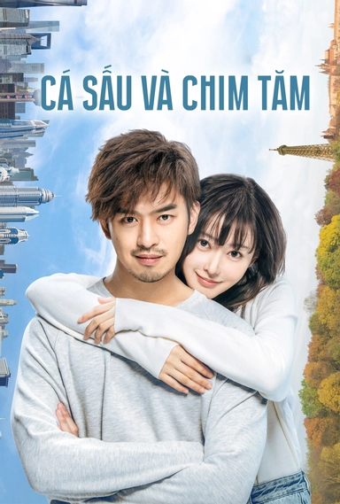 Cá Sấu Và Chim Tăm